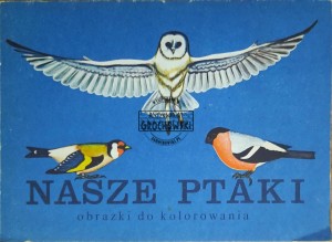 Nasze ptaki. Obrazki do kolorowania