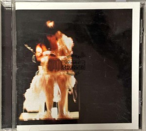 Björk – Vespertine Live CD