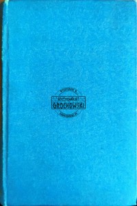 Kościuszko pod Racławicami. Obraz historyczno-ludowy