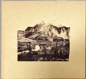The Feral Trees – The Feral Trees CD