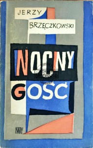 Nocny gość