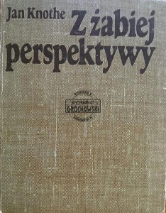 Z żabiej perspektywy