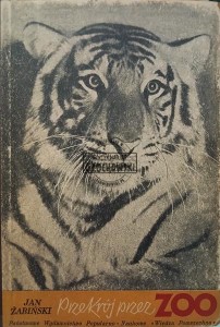 Przekrój przez ZOO