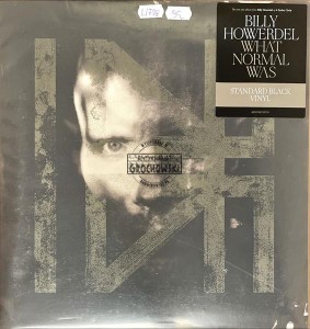 Billy Howerdel – What Normal Was LP