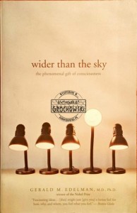 Wider than the sky