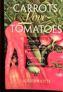 Carrots love tomatoes