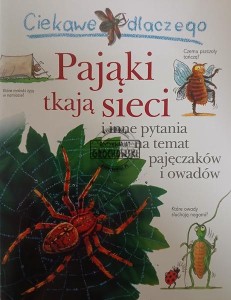 Ciekawe dlaczego pająki tkają sieci