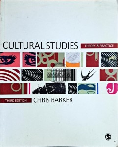 Cultural studies theory & practice