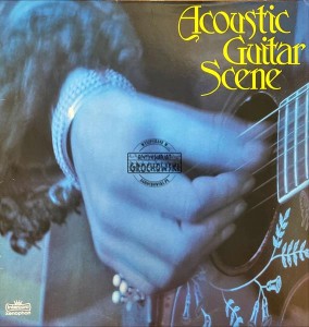 Various – Acoustic Guitar Scene 2LP