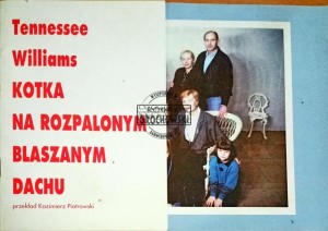 Kotka na rozpalonym blaszanym dachu