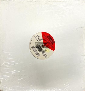 Sunshine Anderson – Heard It All Before 12" (Single)