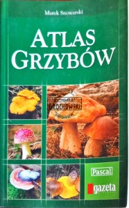 Atlas grzybów 