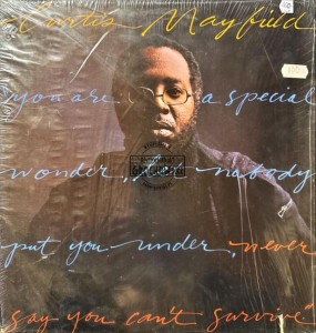 Curtis Mayfield – Never Say You Can't Survive LP