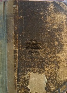 Dwór w Haliniszkach, tom 1