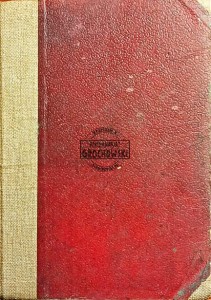 Robinson Kruzoe