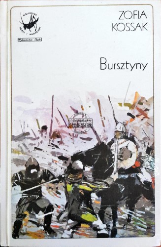 667143 Bursztyny