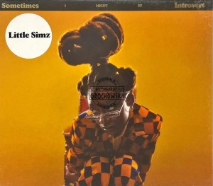 Little Simz – Sometimes I Might Be Introvert CD