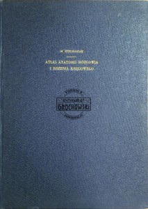 Atlas anatomii mózgowia i rdzenia kręgowego