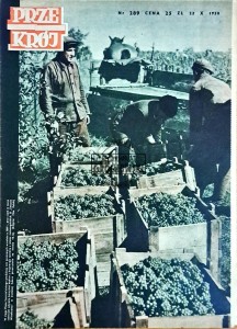 Przekrój (289) październik (1950)