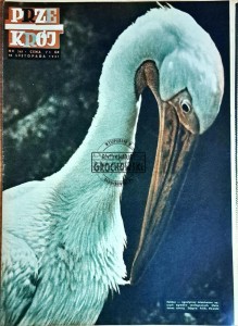Przekrój (345) listopad (1951)