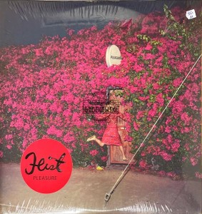 Feist – Pleasure 2LP