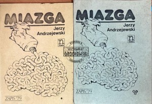 Miazga