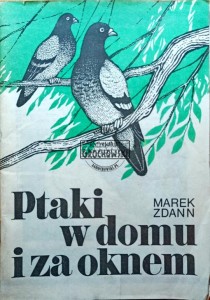 Ptaki w domu i za oknem