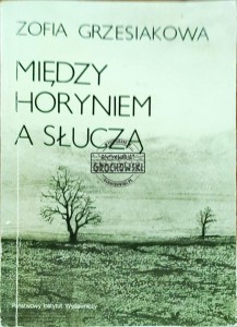 Między Horyniem a Słuczą 