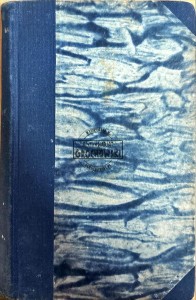 Jaskółczym szlakiem