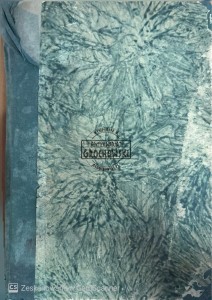Historia chłopów polskich