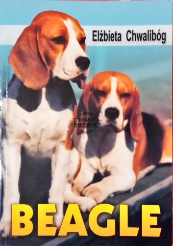 Skan — 2026-03-13 19_33_58.jpeg