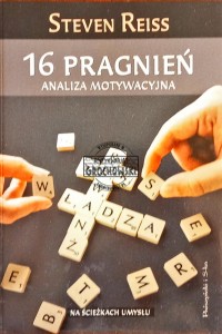 16 pragnień. Analiza motywacyjna