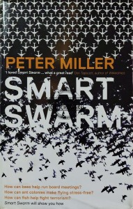 Smart Swarm