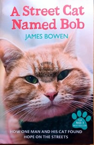 A street Cat Named Bob