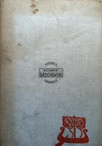 Saga o jarlu Broniszu 