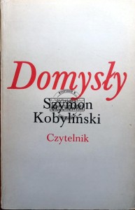 Domysły