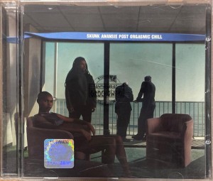 Skunk Anansie – Post Orgasmic Chill CD