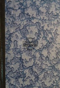 Szachista, rocznik 1993