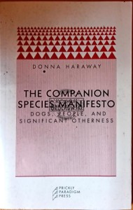 The companion