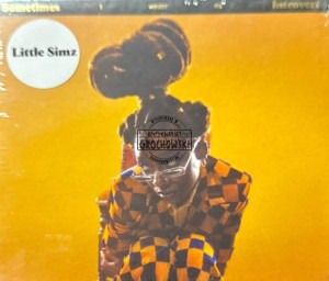 Little Simz – Sometimes I Might Be Introvert CD