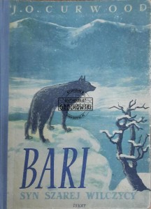 Bari syn Szarej Wilczycy 
