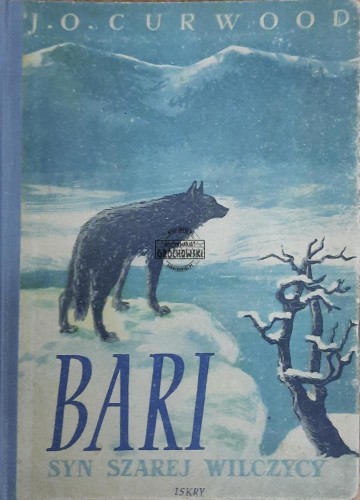 655334 Bari syn Szarej Wilczycy