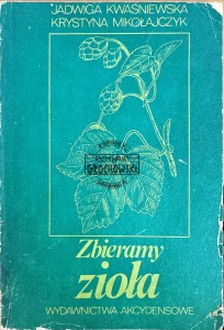 Zbieramy zioła