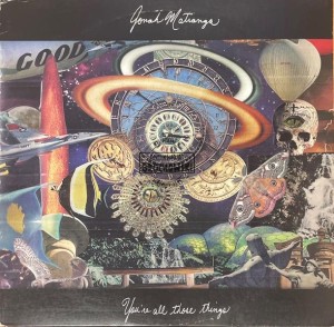 Jonah Matranga – You're All Those Things And Then You're None (v2.0) LP