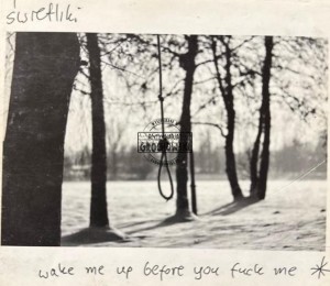Świetliki – Wake Me Up Before You Fuck Me CD