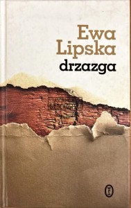 Drzazga