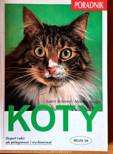 Koty