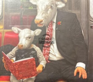 Moby – Everything Was Beautiful And Nothing Hurt CD