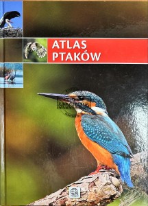 Atlas ptaków