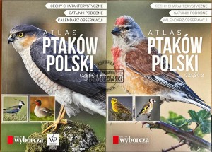 Atlas ptaków Polski